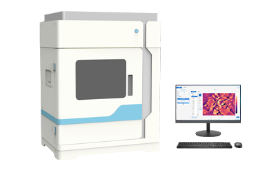 叶绿素荧光成像仪IN-LeafClear