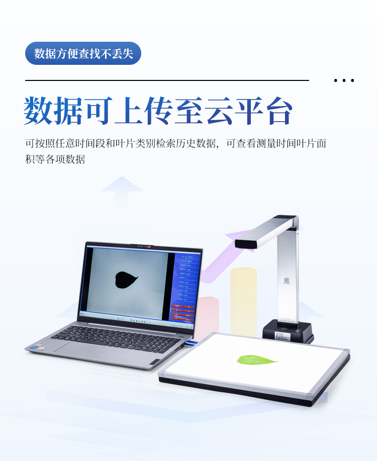 叶面积测量仪
