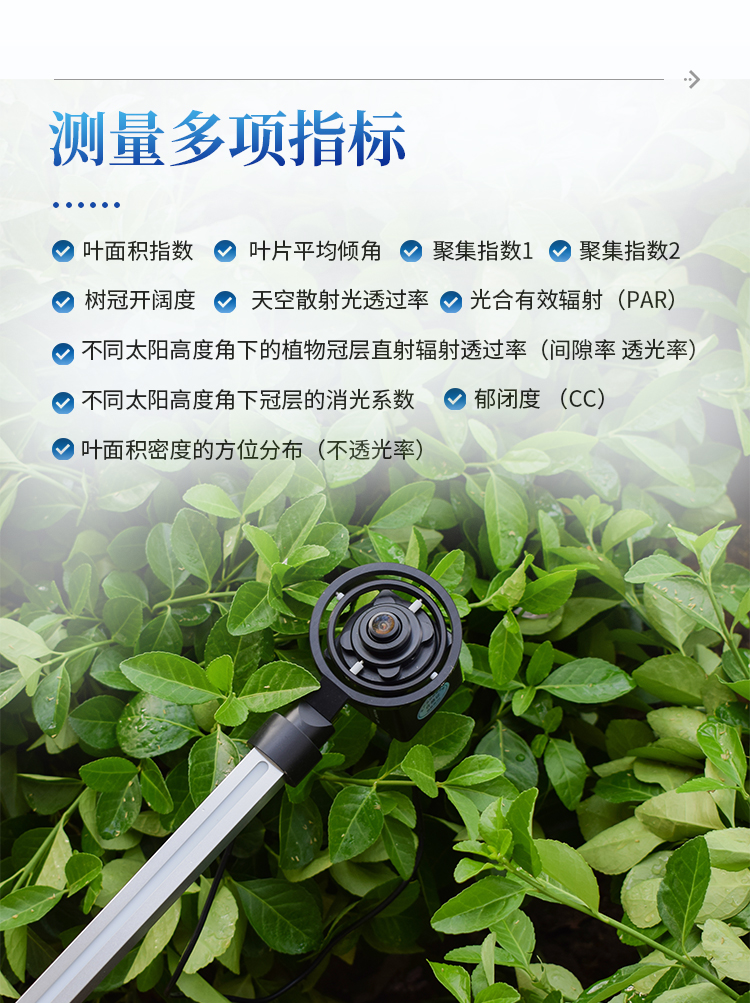 植物冠层分析仪